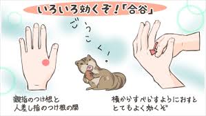 ããã åè°·ãã®ç»åæ¤ç´¢çµæ