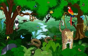 Rainforest Animals Stock Illustrations – 3,609 Rainforest ...