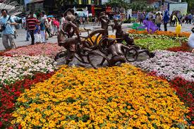 Check spelling or type a new query. Flower Festival For Lunar New Year Decoration In Vietnam With Many Kind Of Colorful Flowers In Wooden Pots On The Street Stock Photo Picture And Royalty Free Image Image 65761645