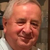 Mr. Miroslav Rosol Obituary