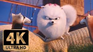 The secret life of pets isn't going to end up anywhere near the best animated film of the year, but it's entertaining enough that if you need to get the family out of the house on a scorching. The Secret Life Of Pets 2016 Gidget Bridge Fight Scene 9 10 Youtube