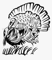 Maybe you would like to learn more about one of these? Turkey Drawing Cooked A Body Food Cute Books Turkey Head Pics Drawing Hd Png Download Kindpng