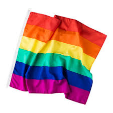 All abrosexual aegosexual agender aromantic aromatic asexual autochorissexual bear bear pride bigender biromantic bisexual black custom demiboy demigirl demiromantic demisexual diamoric flag. Regnbueflagg Pride Flagg Langkilde Son