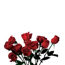 Image result for tumblr red background