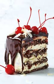 Cherry Chocolate Meringue Torte One Bowl Chocolate Cake Recipe Chocolate Desserts Chocolate Cake Recipe