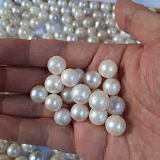 Harga mutiara air laut warna emas (gold) grade aa: Harga Mutiara Laut Terbaik Juni 2021 Shopee Indonesia