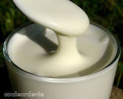Lait Concentre Sucre Maison Au Thermomix Lait Concentre Sucre Recette Lait Concentre