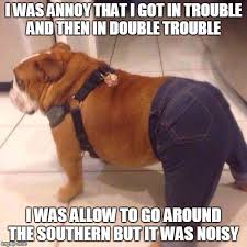 Just try not to smile when you're scrolling through these 50 funny dog memes—we dare you! Fat Crazy Dog Memes Imgflip