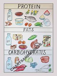 Buy Proteins Fats Carbohydrates In Food Charts Online Buy