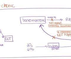 What Is A Misconception About Chronic Disease Quizlet