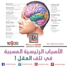 1 عدم تناول وجبة الإفطار الصباحية 2 تناول الأطعمة لحد التخمة 3 التدخين 4 التناول المفرط للسكر 5 تلوث اله body awareness sensative skin occipital lobe