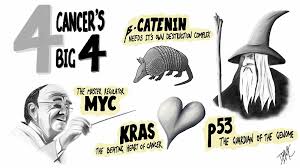 .cancers are difficult to eradicate forever: Drugging Cancers Big Four Boehringer Ingelheim Com