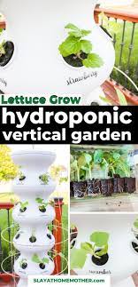 Lettuce Grow Farmstand Setup And Review Hydroponic Gardening System Indoor Hydroponic Gardening Lettuce Growing