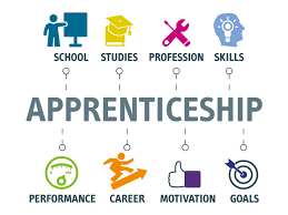 Please note that program details may be subject to change. Apprenticeships Decline But Trade Sector Could Be A Haven For A New Wave Of Employment Welp Magazine
