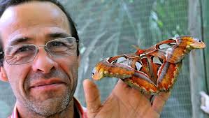 En Vaucluse, l'effet papillon est assuré