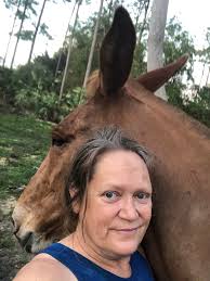 BTE of my yearling mule after a nice cool bath in this hot Florida Summer  heat. Full body pics and video the comments. 😊