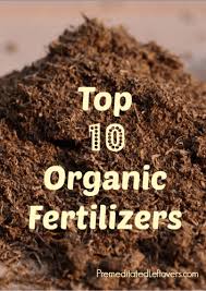 Recycle your coffee grounds to help acidify your soil. Top 10 Organic Fertilizers