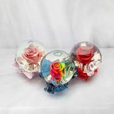 Assorted Preserved Rose Globe One