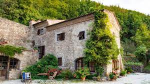 Please note many of our virtual classes are free! Yoga Retreat In Tuscany Italy With Patrick Oancia Yogajaya Tokyo Qbi Inspya Hamburg Yogajaya