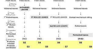 Flow Chart Showing Stages Of The Manufacturing Process Of