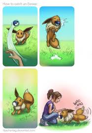 I Caught An Eevee Once Now It S A Sylveon I Was On A Route And It Evolved I Was Not Excited Because I Thought I Wa Pokemon Pokemon Eeveelutions Cute Pokemon