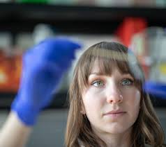 Northern Arizona University Stories