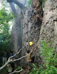 Image result for picha za wahadizabe