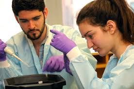 It's Not All in the DNA: Penn Team Benefits from Mack Institute Sponsorship  in Synthetic Biology Competition