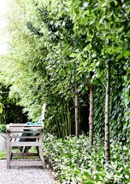 A Garden Of Contrasts That Works Harmoniously Victorian Gardens Garden Design Contemporary Garden Design
