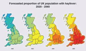 Bad News For Hay Fever Sufferers The Birch Pollen Season