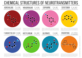 Chemical Structures Of Neurotransmitters Chemical Structure Brain Chemistry Neurotransmitters