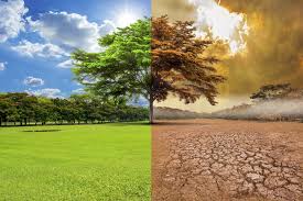 EL CAMBIO CLIMÁTICO