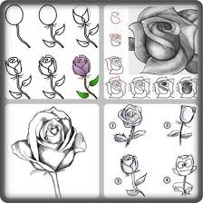 Hoy vamos a seguir con nuestros tutoriales para aprender a dibujar paso a paso y de una forma sencillita. Paso A Paso Dibujo Rosa Para Android Apk Descargar