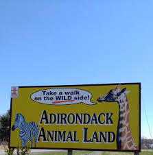 Camels attack on the safari ride at adirondack animal land. Adirondack Animal Land Offical Page Home Facebook