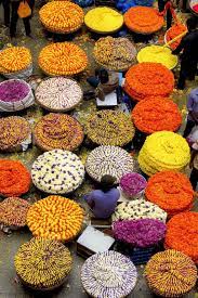 Colors Make Me Happy And Keep Me Inspired India Color Colorful Morning Flowers Fashion Style Art Love S India Colors India Photography Indian Flowers