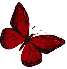Find gifs with the latest and newest hashtags! Butterfly Red Gif Butterfly Red Monarch Discover Share Gifs