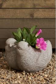 Buy Love Bird Plant Pot From The Next Uk Online Shop