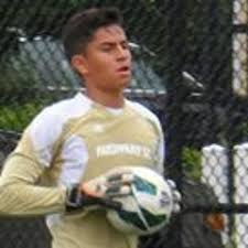 Stream Ricardo Adolfo Silva music