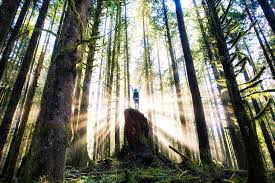 With over 50 years of combined field experience our construction division has the ability to tackle. The 12 Greatest Things About Living In The Pacific Northwest Livability