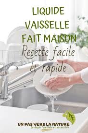 Produit Vaisselle Maison Produit Vaisselle Maison Produit Vaisselle Produit De Nettoyage Faits Maison