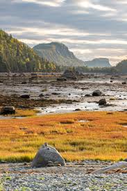 Les Parcs Nationaux De L Est Du Quebec Ont Tant A Vous Apprendre In 2020 National Parks Quebec Wonders Of The World