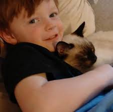 Where can you go to get a paper notarized?