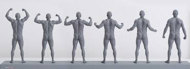 See more ideas about anime poses reference, drawing poses, art reference. 3d Printed Anatomy In Motion Anatomy 360
