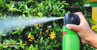 5 Best Bug Spray Treatments For Indoor And Outdoor Home Pest Control