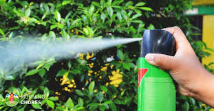 We did not find results for: 5 Best Bug Spray Treatments For Indoor And Outdoor Home Pest Control