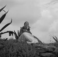 En el año 2015 frida se casó con el empresario luis escamilla. Frida Kahlo Wikipedia