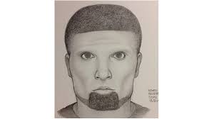 Ex-Con Pleads Not Guilty to Sexual Assault in Mount Hope