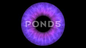 Eye Iris Areola Stock Footage ~ Royalty Free Stock Videos | Pond5