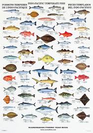 Pin On Capstone Pc Fish