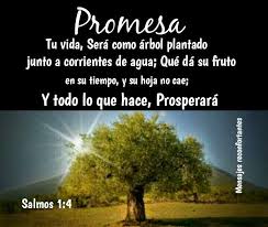 Pin De Elba Uzcateguie En Amen Salmo 1 3 Salmo 1 Salmos